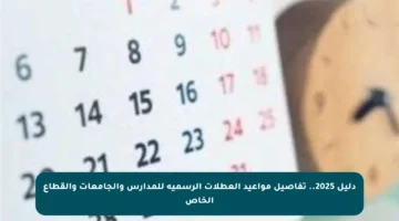 دليل 2025.. تفاصيل مواعيد العطلات الرسمية للمدارس والجامعات والقطاع الخاص
